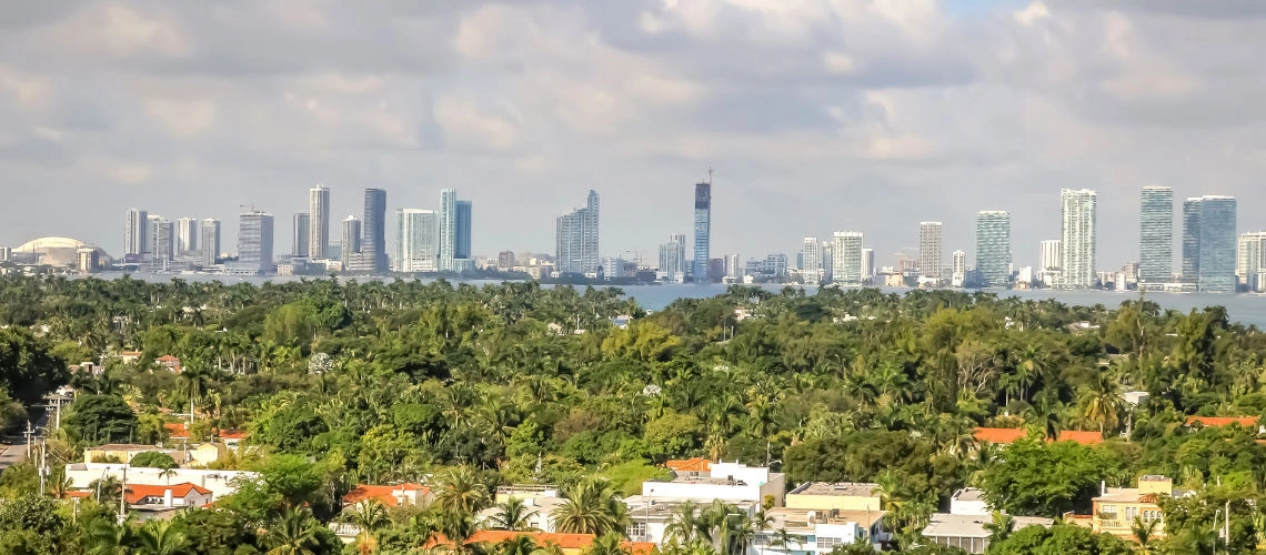 11_city_view.jpeg