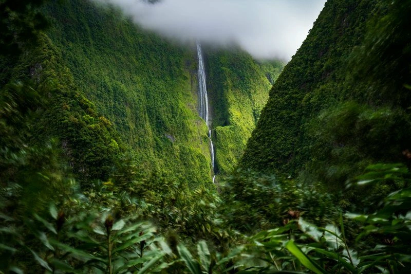 cascade_blanche_AdobeStock_338568192.jpg