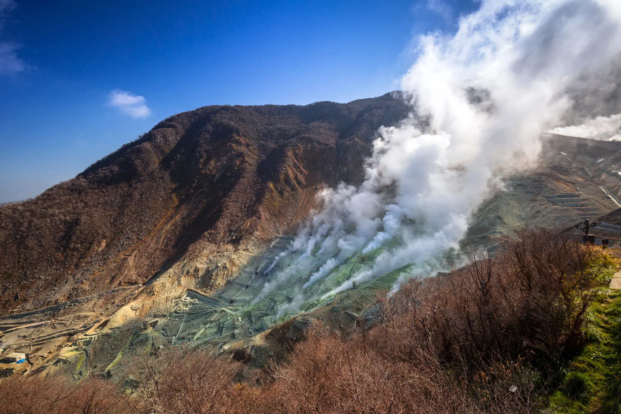 AdobeStock_127704156.jpeg