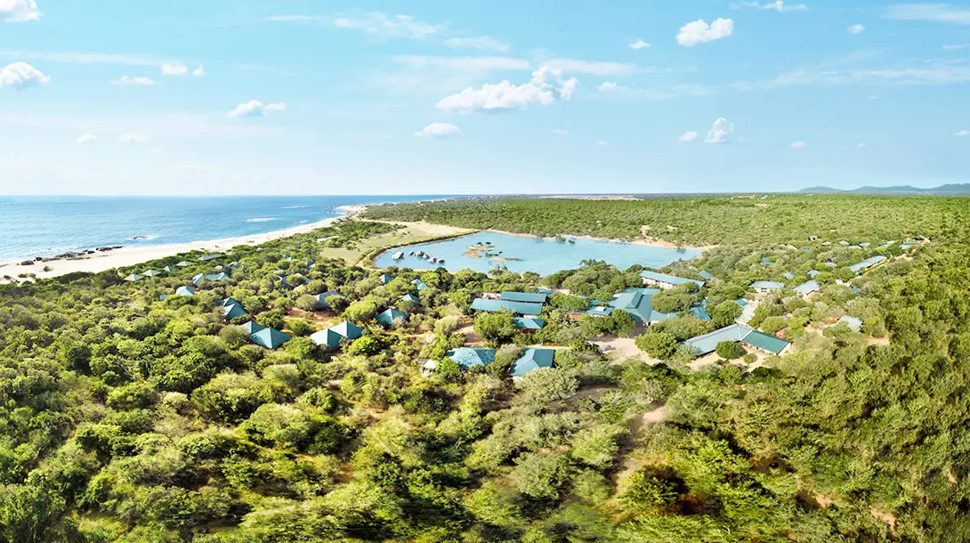 Wildyala_Aerial_Exterior_CV_Village-Pool_1090x610.jpg