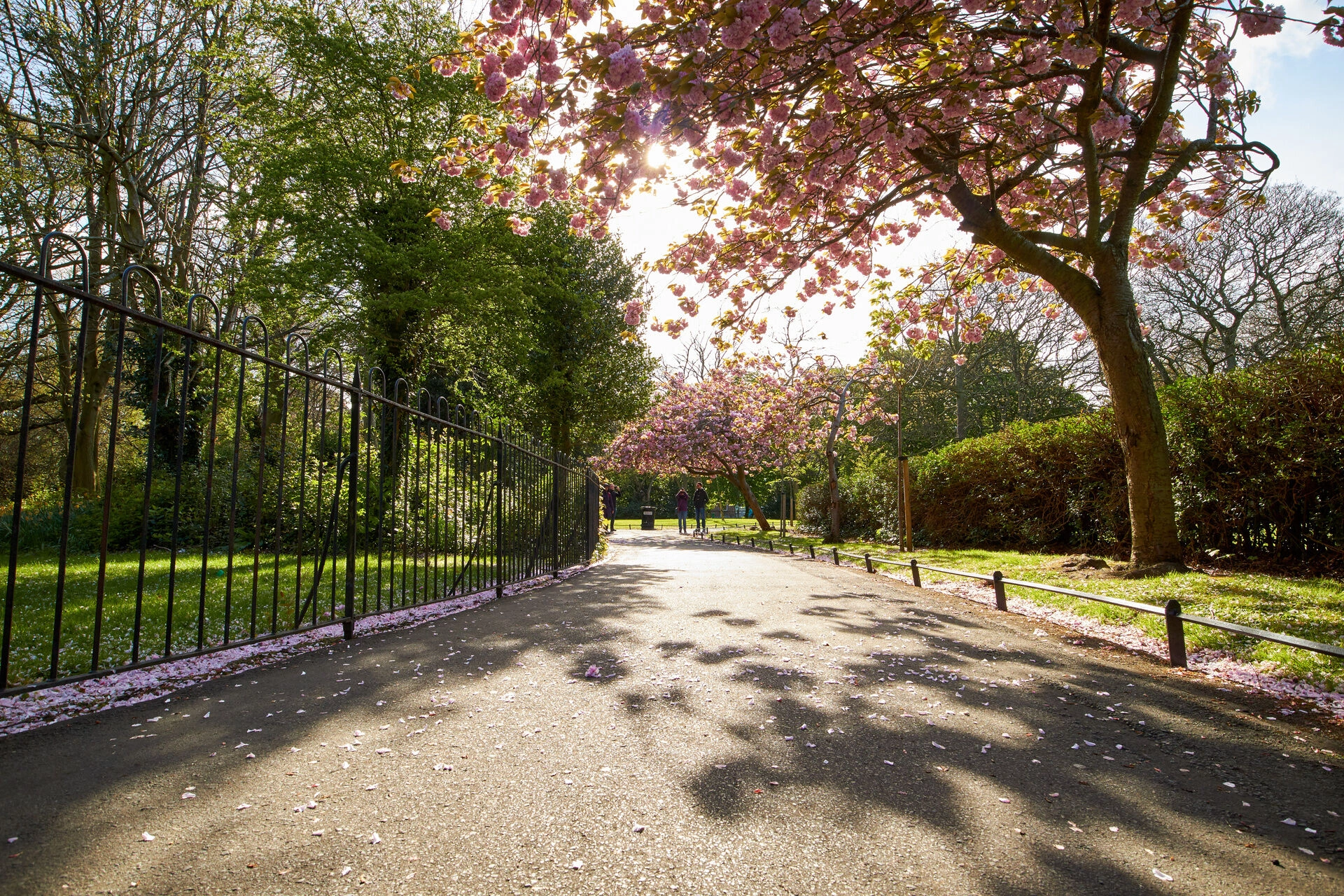 parc_St_Stephen_Green_AdobeStock_330128877.jpeg
