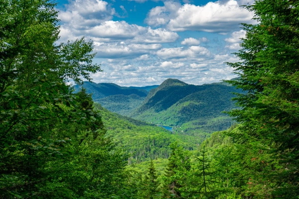 vue_691334_pgbighd.jpg