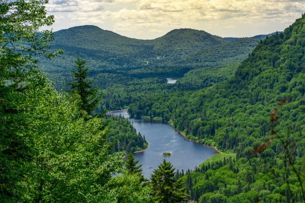 vue_691335_pgbighd.jpg