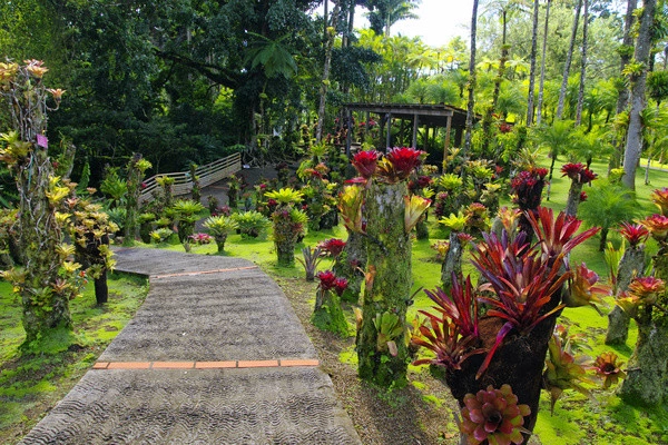 vue_851680_pgbighd.jpg