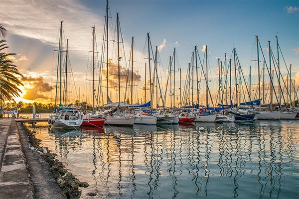 vue_851445_pgbighd.jpg