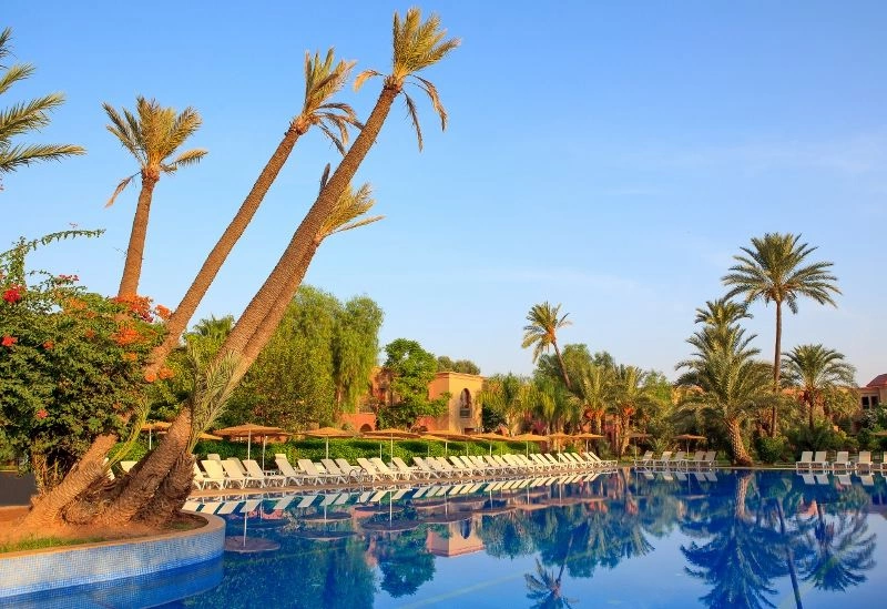 IBSTAR_PMK_IB_POOL_MAIN_D1609_001_(800x549).jpg
