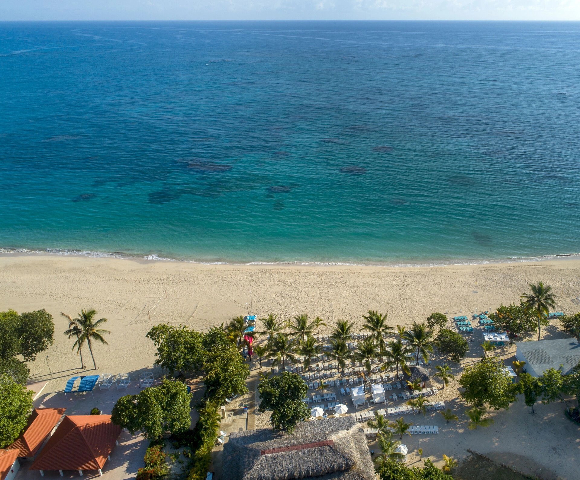 aerial-view_48531091926_o.jpg