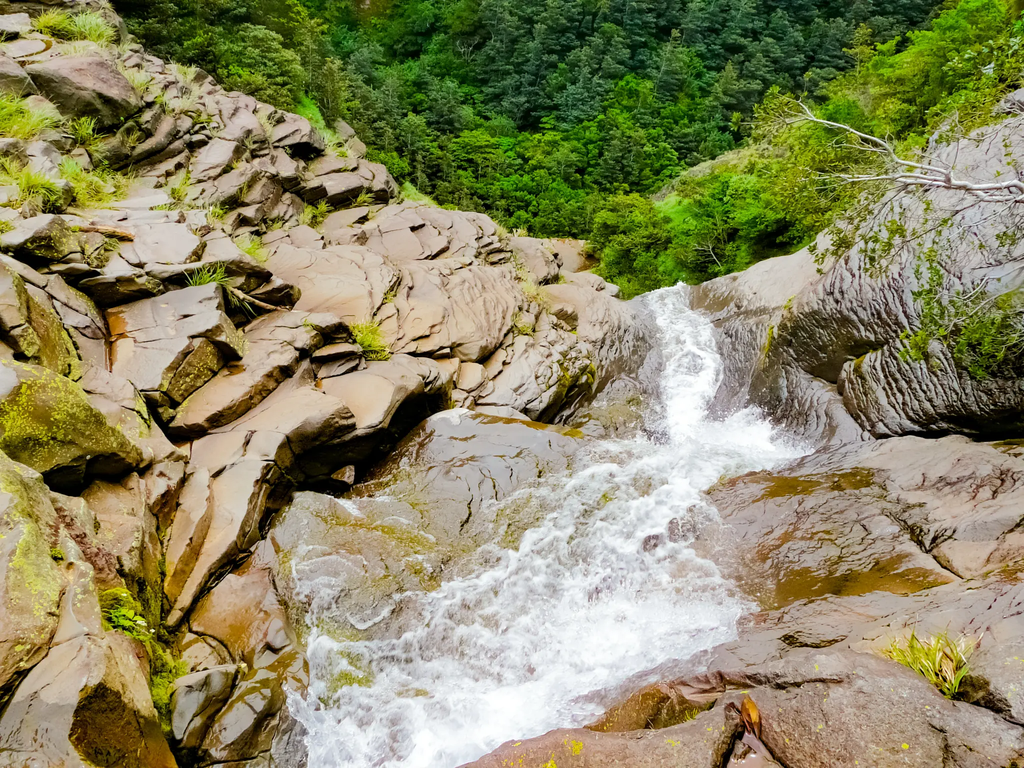 AdobeStock_343076374.jpeg