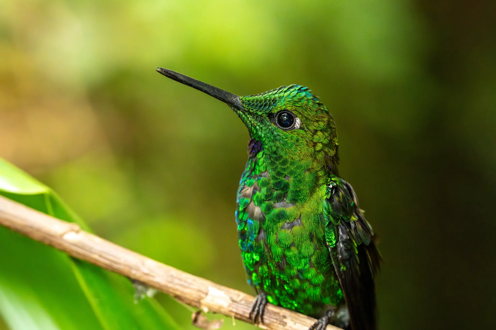 AdobeStock_1612824125.jpeg