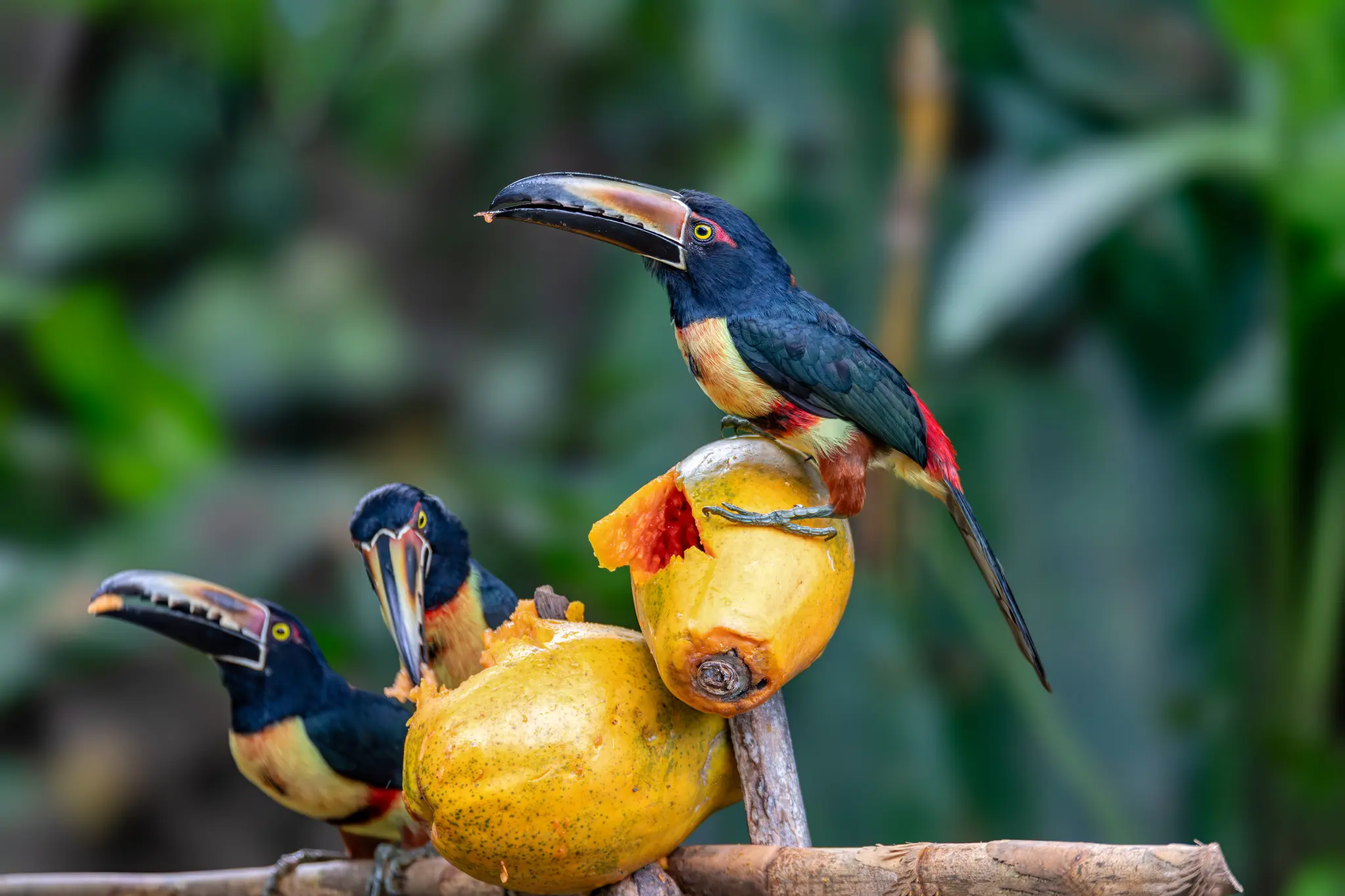 AdobeStock_663108445.jpeg