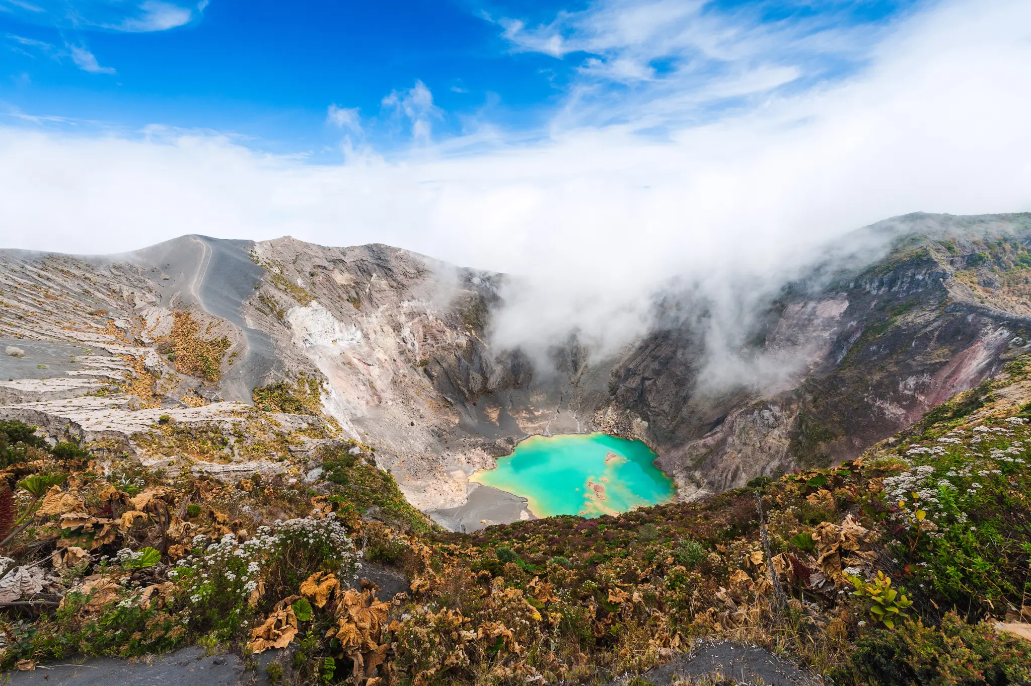 AdobeStock_109566467.jpeg