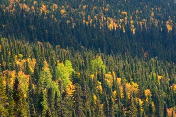 vue_669849_pgbighd.jpg