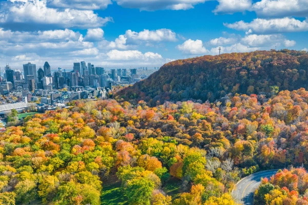 vue_618330_pgbighd.jpg