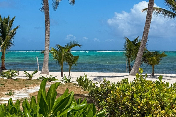 vue_867297_pgbighd.jpg
