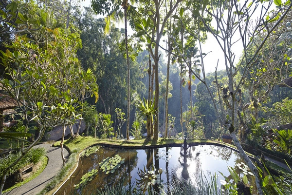 265311329.jpg