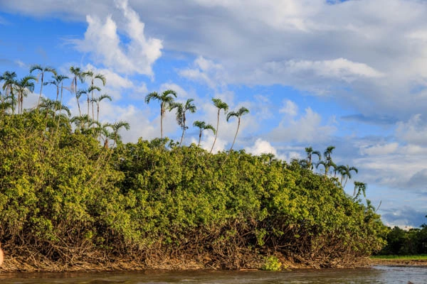 Circuit L'Équateur entre nature et authenticité + pré-tour Amazonie (maximum 16 participants)