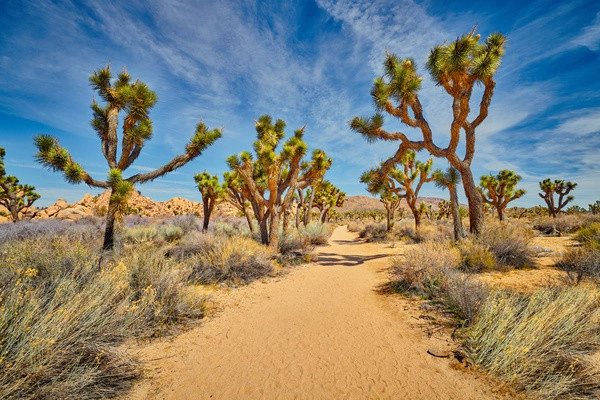 vue_764452_pgbighd.jpg