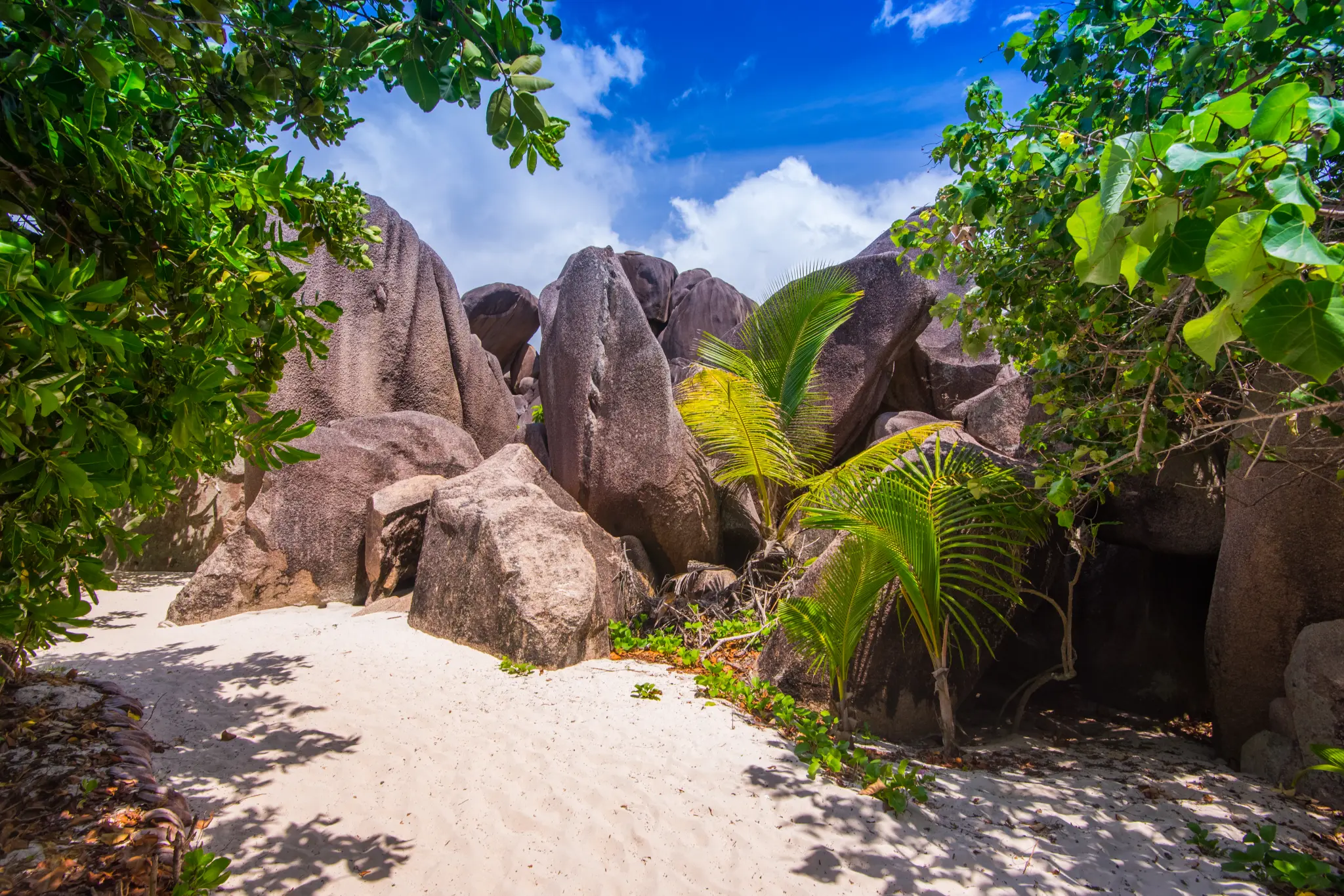 seychelles-union estate-plage anse source d'argent.jpg