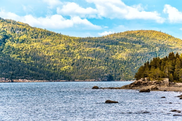vue_691264_pgbighd.jpg