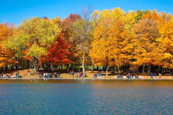 vue_852281_pgbighd.jpg