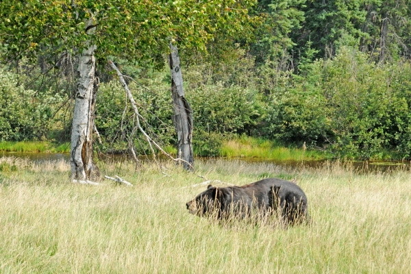 vue_622130_pgbighd.jpg
