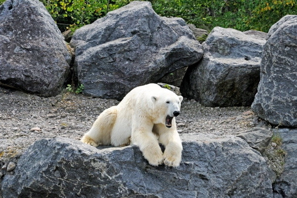 vue_622022_pgbighd.jpg