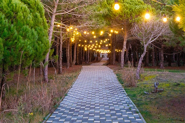 vue_878773_pgbighd.jpg