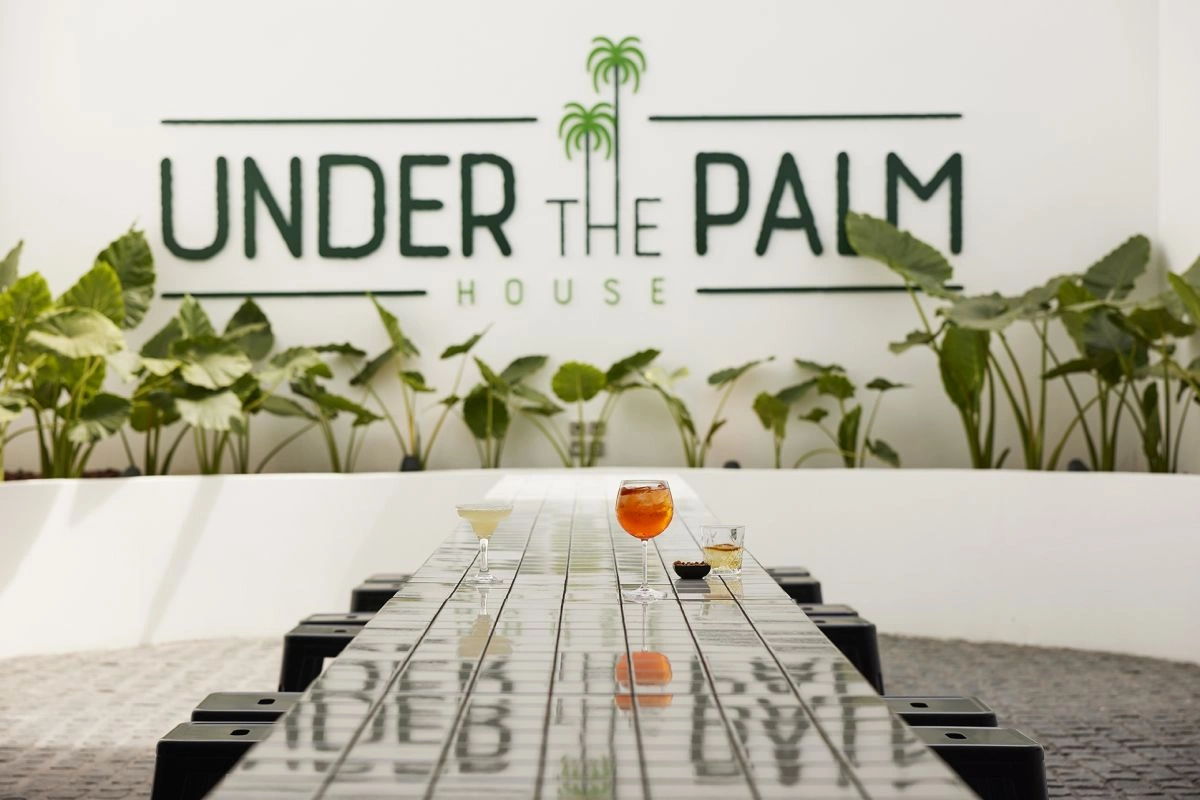 07_Under_The_Palm_House.jpg