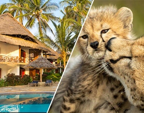 Safaris Ngorongoro, Tarangire et Manyara et Séjour au Kappa Club Waridi Beach Resort & Spa 4*