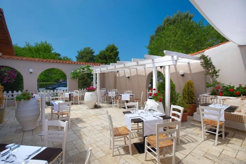 007-TE-terrace_61944736_(800x532).jpg