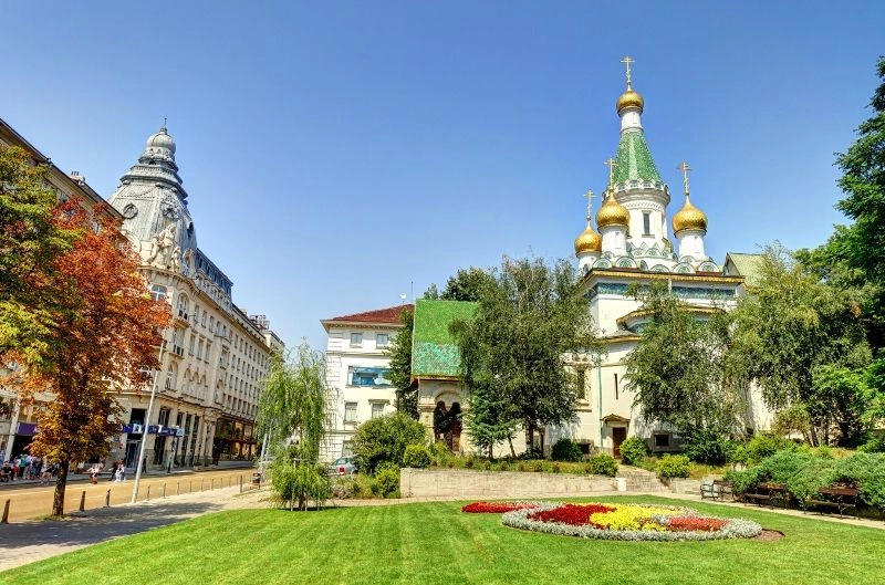 245112685.jpg