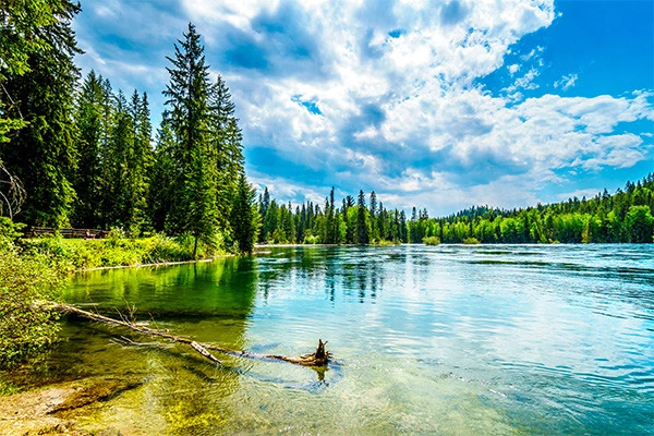vue_884896_pgbighd.jpg