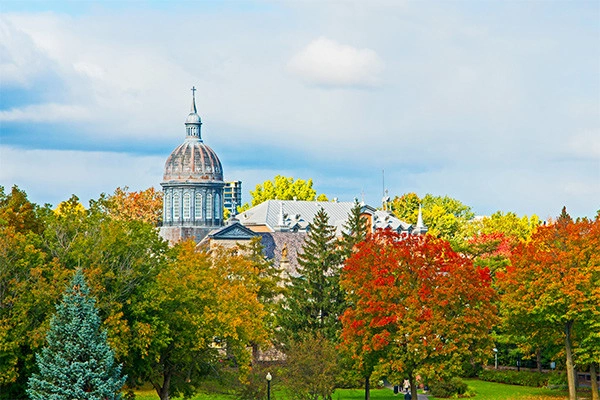 vue_884914_pgbighd.jpg