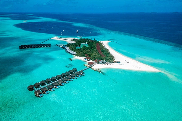 Hôtel Dhigufaru Island Resort *****