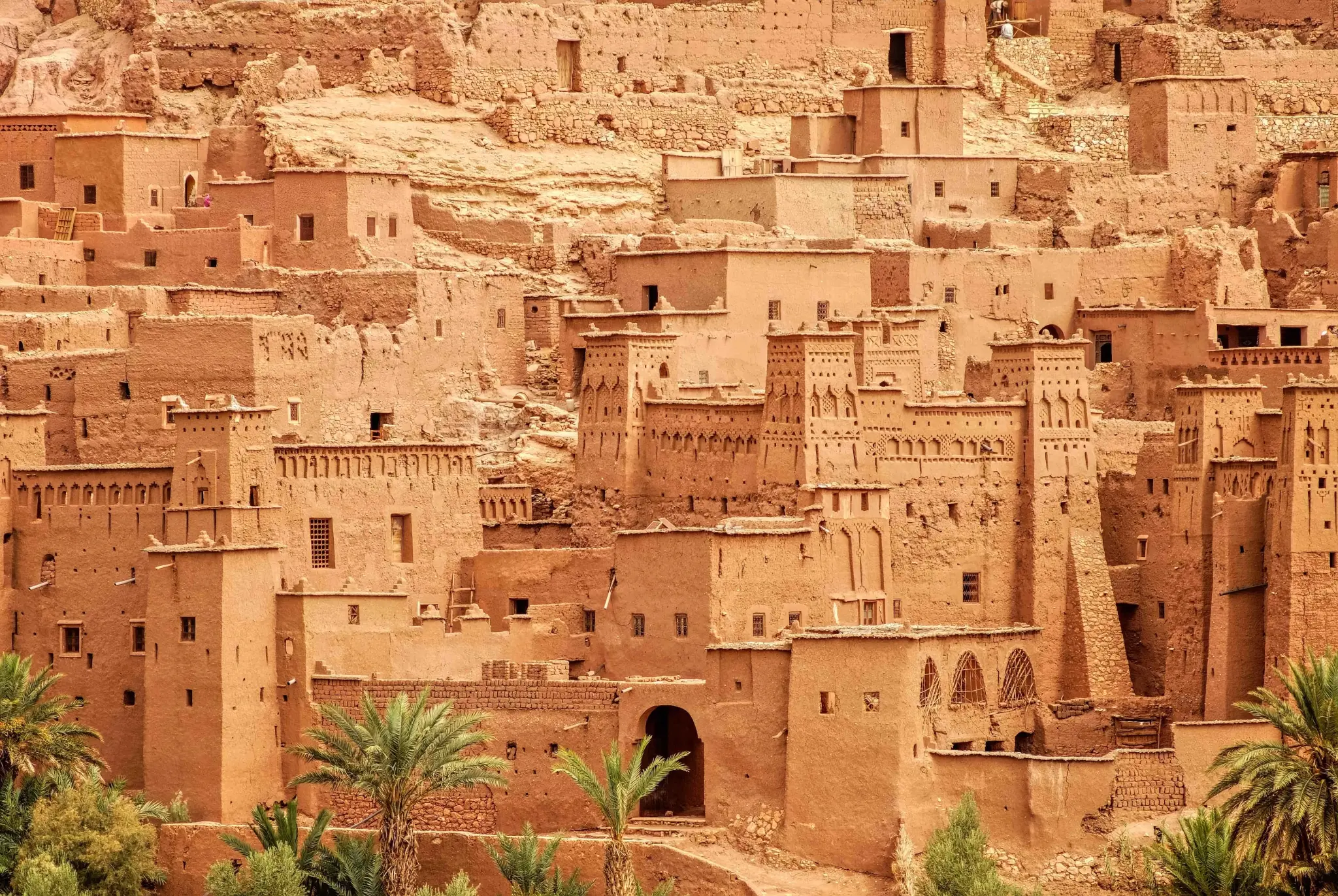 AdobeStock_96859428.jpg-.jpg