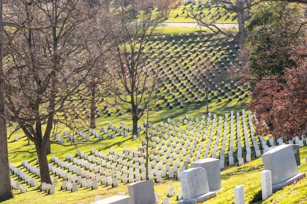 vue_618401_pgbighd.jpg
