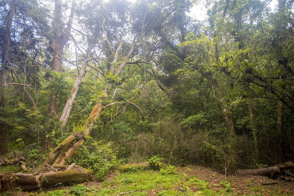 vue_874063_pgbighd.jpg