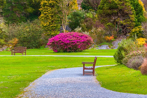 vue_885509_pgbighd.jpg