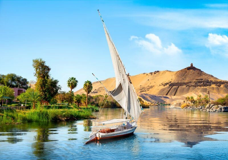 AdobeStock_290020867.jpg