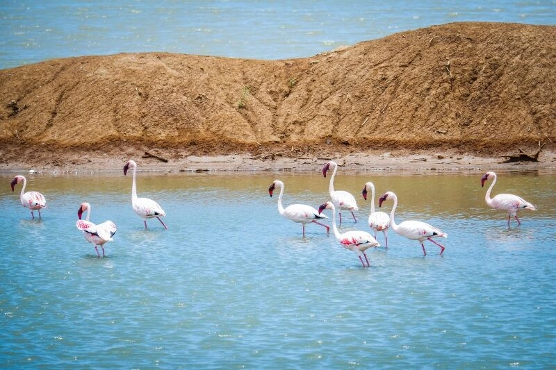 Boat_Safari_33.jpg