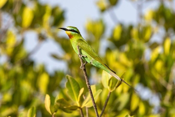 vue_827849_pgbighd.jpg