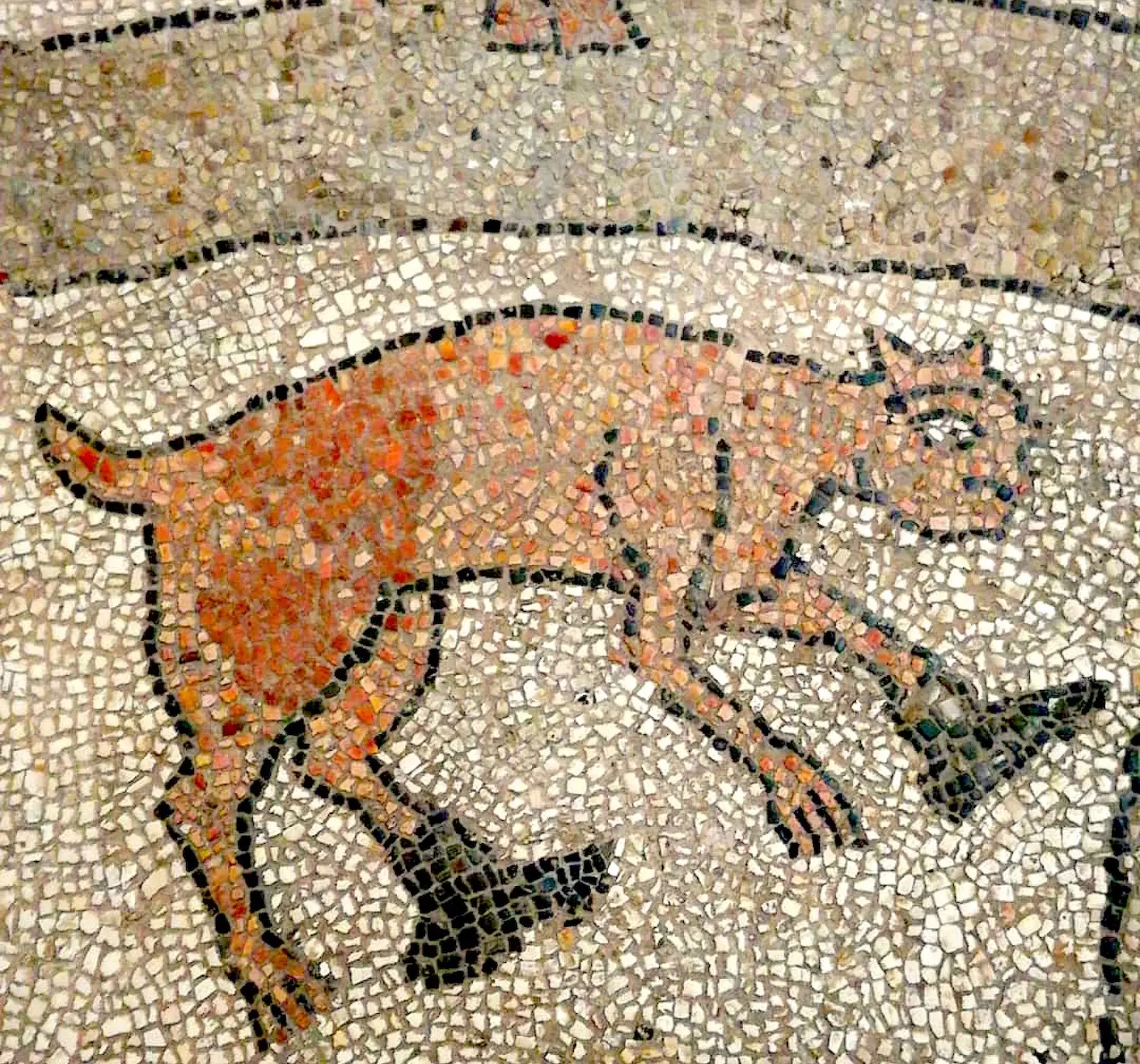 puss-in-boots-Otranto.jpg