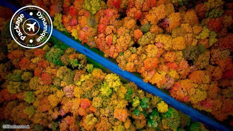 2026 - Circuit Canada Est - Sentiers, Lacs et Forêts - 26 personnes maximum