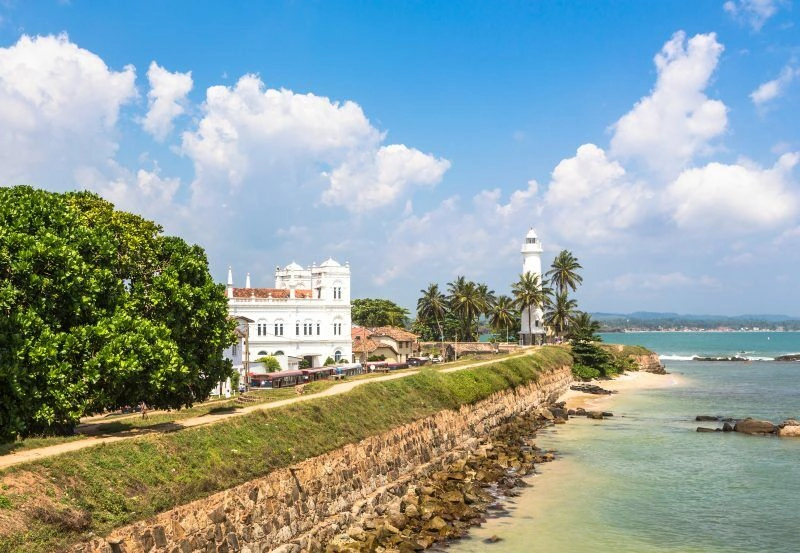 Galle_AdobeStock_74357573.jpg