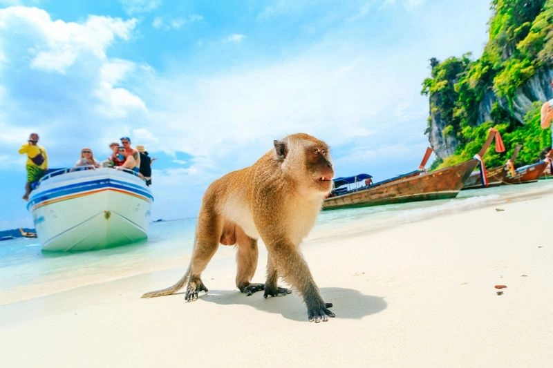 Kappa Découverte Les Perles du Sud et Séjour Au Club Coralia Pamookkoo Resort 4*