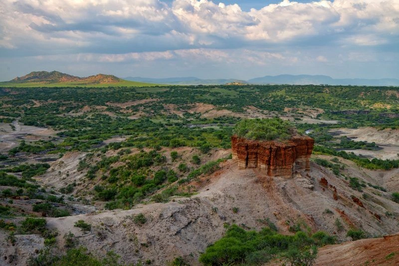 Olduvai_Tanzanie_AdobeStock_76423032.jpg