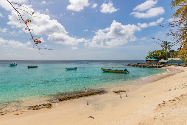 vue_778328_pgbighd.jpg