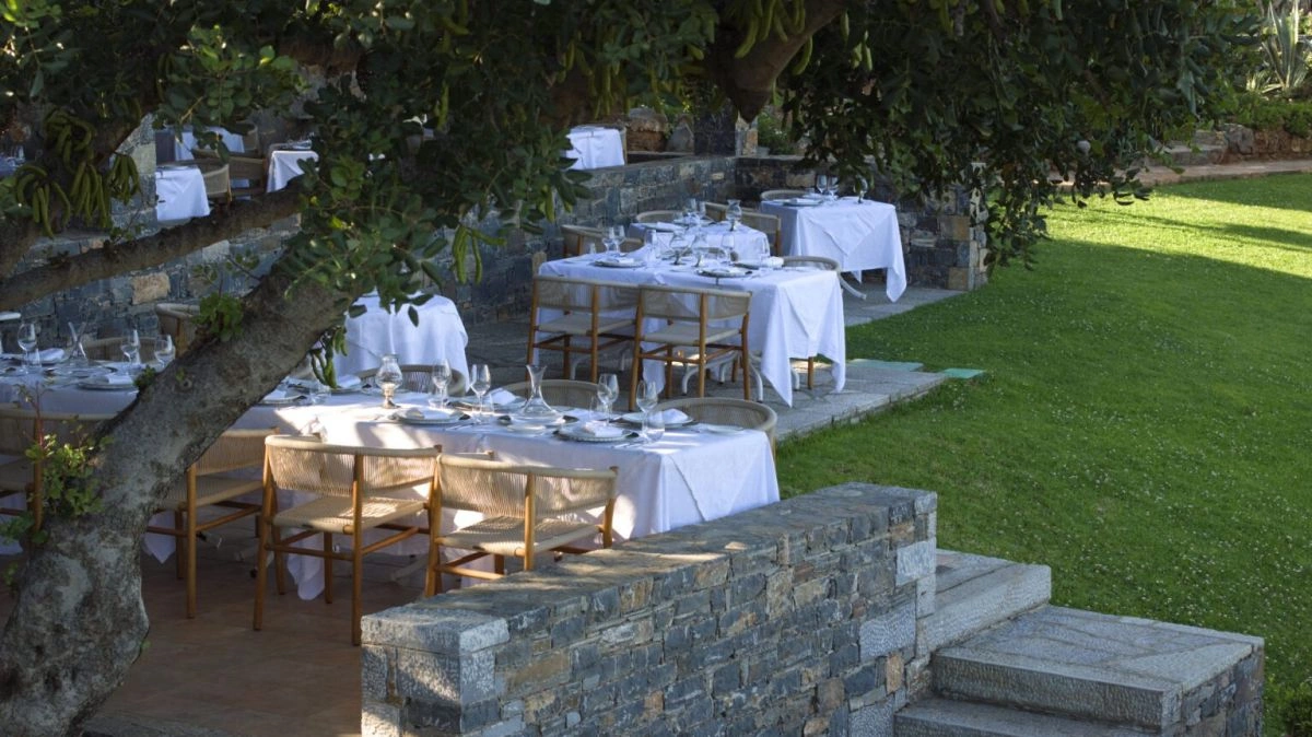 Jardin.jpg