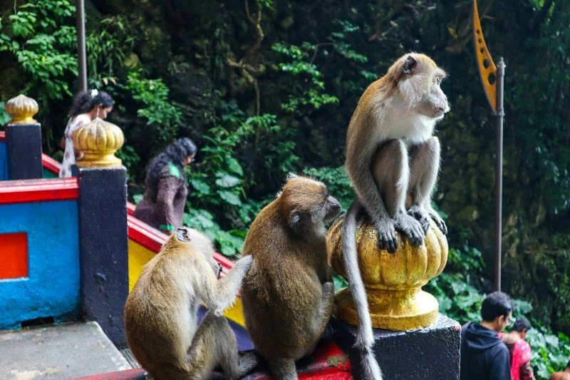 Circuit Coralia Ame Authentique De La Malaisie Et Séjour Balnéaire en Thaïlande Au Club Coralia Pamookkoo Resort 4*