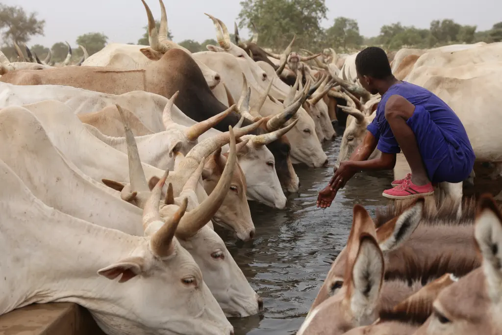 Sénégal les couleurs de la Terranga